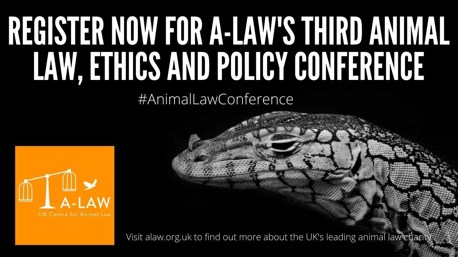 A Law Conference poster with reptile