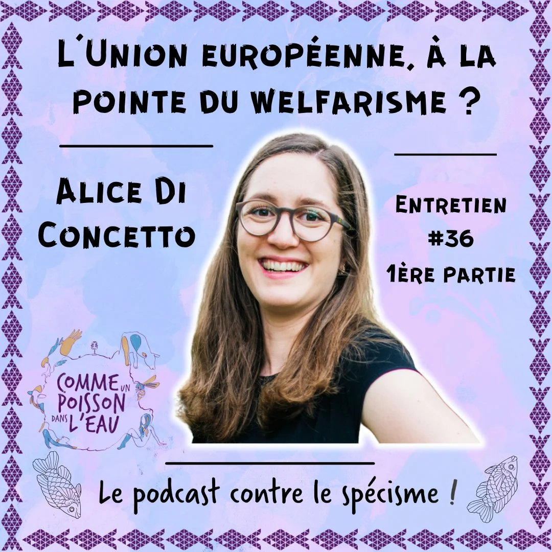 L'union européenne, à la pointe du welfarisme? logo 