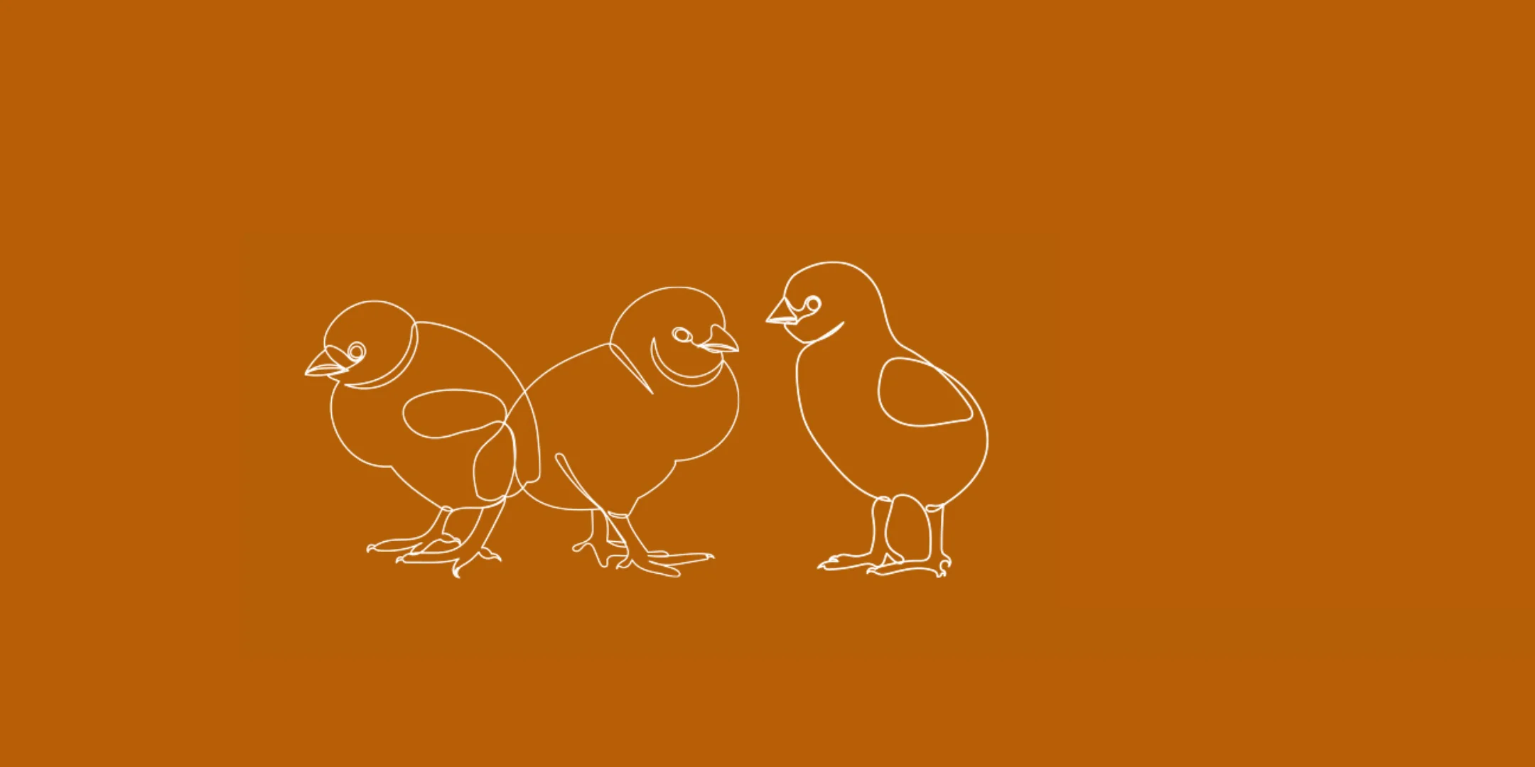 Drawing of three chicks on a brown background