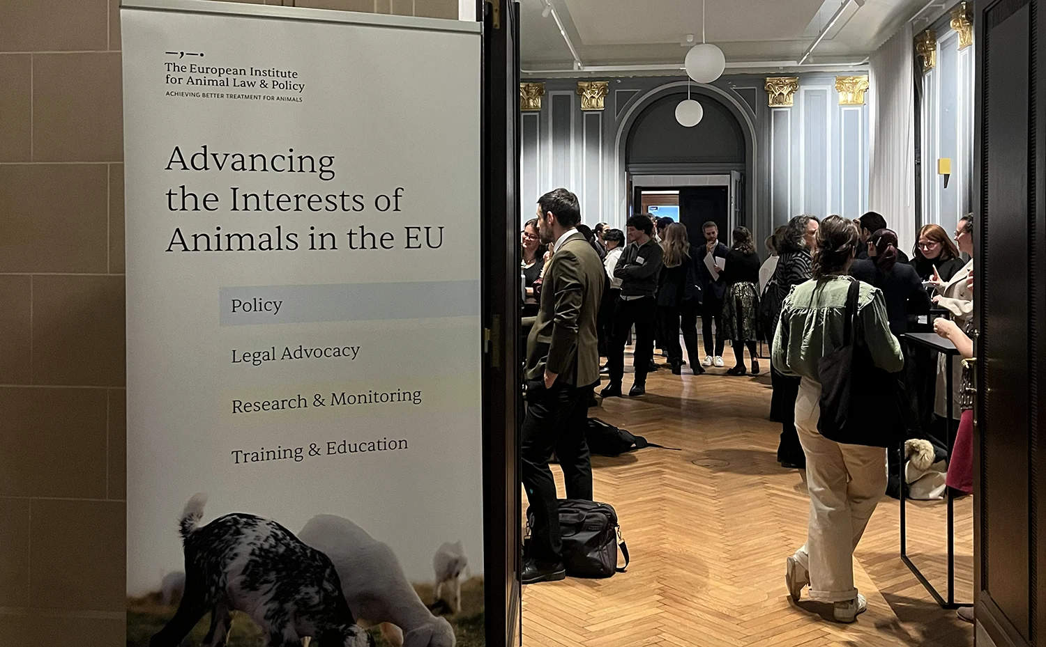 Event report: “Animal Protection and EU Law: Recent Developments and Prospective Change” 4 IMG 6502