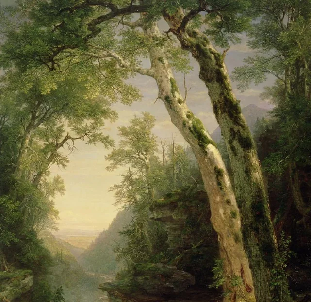 The-Catskills-1859-by-Asher-Brown-Durand (painting representing a forest)