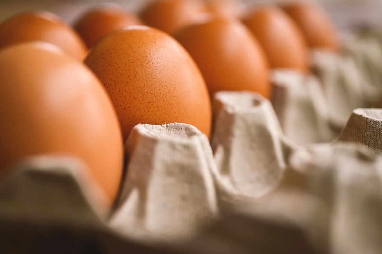 Egg in a carton